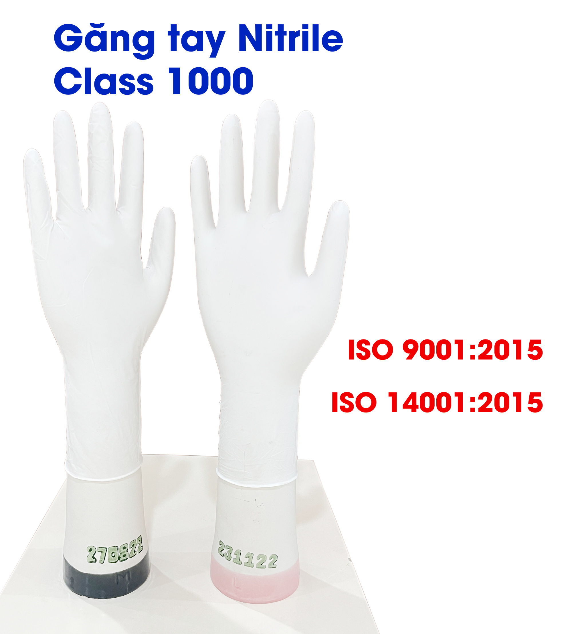 Gang tay phong sach class 1000 THAI HOA GLOVES